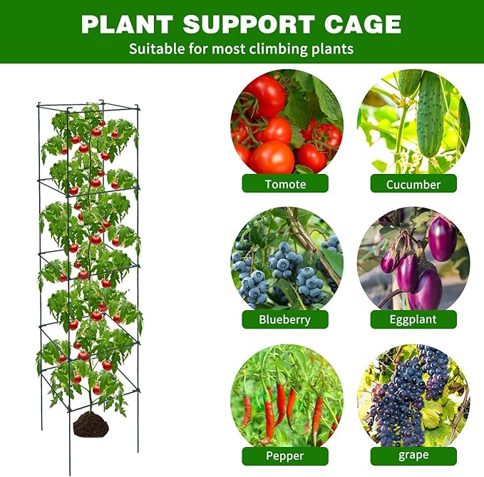 6 Packs Tomato Cages for Garden, 12"×12"×56" Plant Support Cage with Different Spacing, Green Metal Trellis for Climbing Plants Like Cucumber, Flowers