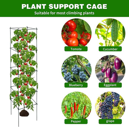 6 Packs Tomato Cages for Garden, 12"×12"×56" Plant Support Cage with Different Spacing, Green Metal Trellis for Climbing Plants Like Cucumber, Flowers