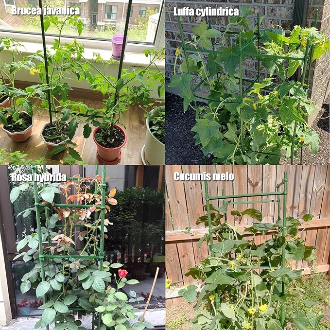 Orgrimmar Tomato Cages Garden Plant Support Stakes Outdoor Vegetable Trellis for Vertical Climbing Plant Up to 63“,3 Packs