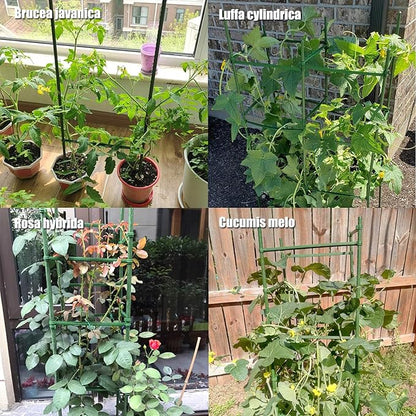 Orgrimmar Tomato Cages Garden Plant Support Stakes Outdoor Vegetable Trellis for Vertical Climbing Plant Up to 63“,3 Packs