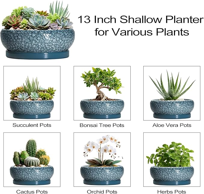Large Succulent Planters - 13 Inch Ceramic Bonsai Pots with Drainage Hole and Saucer, Shallow Plant Pots Indoor Outdoor, Large Planter Bowl, Round Planter, Garden Decor, Gardening Gift, Blue