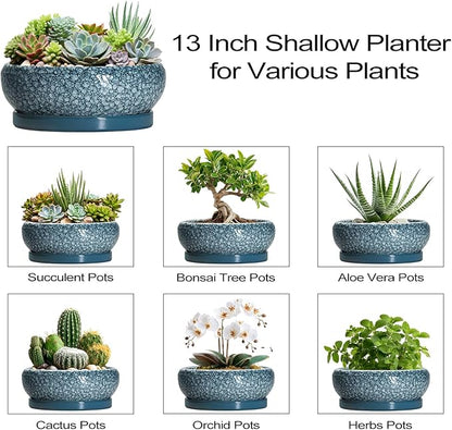 Large Succulent Planters - 13 Inch Ceramic Bonsai Pots with Drainage Hole and Saucer, Shallow Plant Pots Indoor Outdoor, Large Planter Bowl, Round Planter, Garden Decor, Gardening Gift, Blue