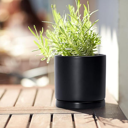 D'vine Dev Black Terracotta Pots for Plants, 4.2 Inch 5.3 Inch 6.5 Inch, Succulent Planter Pot with Drainage and Saucer, 40-T-A-2