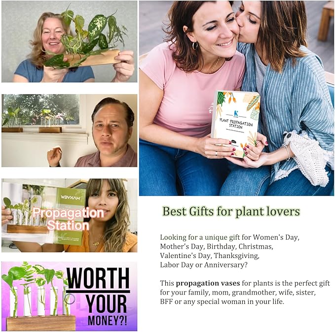 KAXYEW Plant Propagation Station, Plants Propagation Tubes, Gifts for Plant Lovers, Plants Cutting Holder Test Tube Vase Office Desk Garden Décor Gift for Her Mom Women Hydroponic Vase New Gift Box