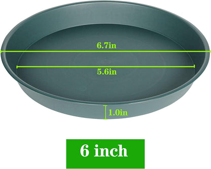 6 Pack Plant Saucer Tray Green, 4 6 8 10 12 13 15 17 19 inch Pot Saucers, Heavy Duty Plastic Plant Saucers for Indoors, Plant Drip Tray, Plant Trays for pots Planter (6", Green)