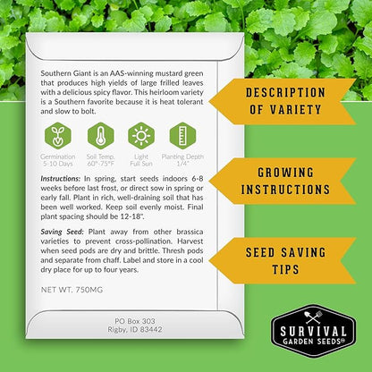 Southern Giant Mustard Green Seeds for Planting – Heirloom Non-GMO Spicy Greens, Heat Tolerant and Slow to Bolt for Home Vegetable Gardens - Survival Garden Seeds (2 Packs)