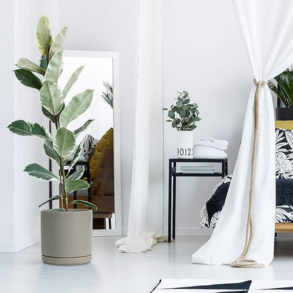 D'vine Dev Set of 2 Plants Pots, 10 Inch Ceramic Planter Pot for Plants with Drainage Hole and Saucer, Speckled Grey, 94-V-E-3