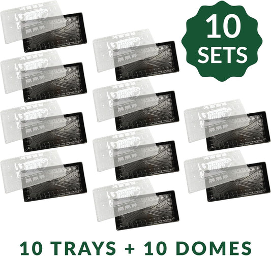 Jiffy Seed Starting Tray Seed Starter Kit with Humidity Dome - 10 Trays and Domes