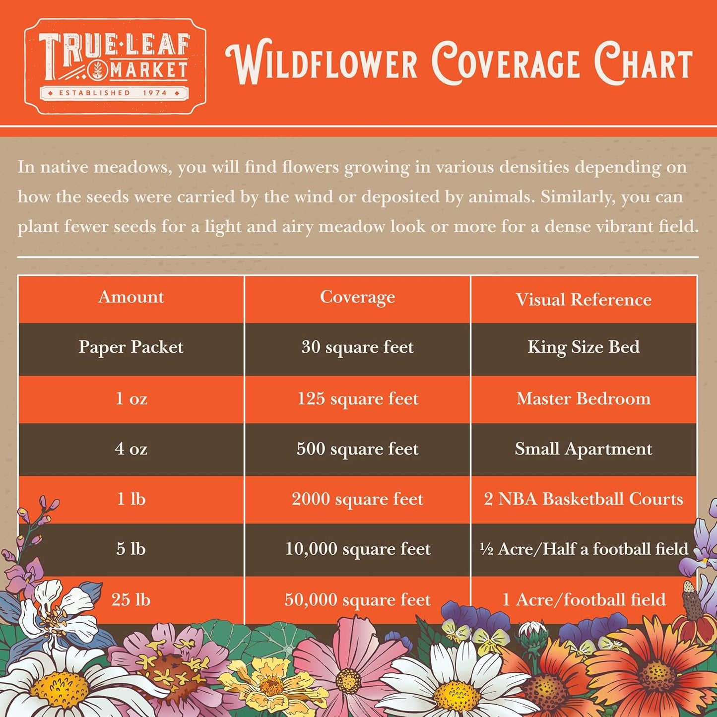 All Annual Wildflower Mix Seed for Planting - 1 Lb ~16,000+ Seeds - 21 Varieties Including California Poppy, Indian Blanket, Scarlet Flax, & More - Attracts Pollinators - Bulk Wildflower Seeds