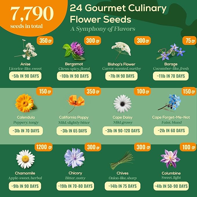 24 Gourmet Culinary Flower Seeds Variety Pack - 7,790+ Non-GMO Heirloom Flower Seeds for Planting Indoor & Outdoor Home Garden - Culinary Flowers Seed Packets for Planting Edible Flowers