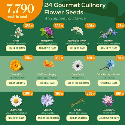 24 Gourmet Culinary Flower Seeds Variety Pack - 7,790+ Non-GMO Heirloom Flower Seeds for Planting Indoor & Outdoor Home Garden - Culinary Flowers Seed Packets for Planting Edible Flowers