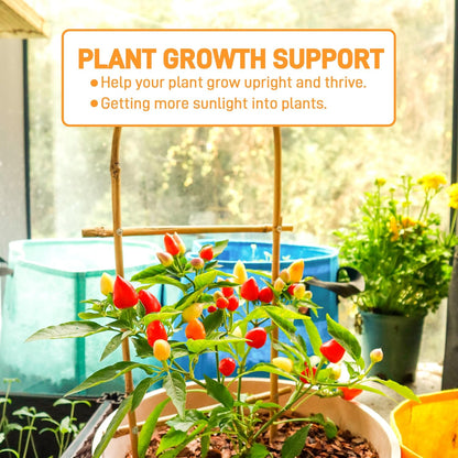 Avalution 10 Pack Bamboo U Trellis for Climbing Plants, 2ft Garden Ladder Trellis for Potted Plants Indoor, Ladder Small Plant Support Trellis for Houseplants Ivy Hoya Vine Monstera