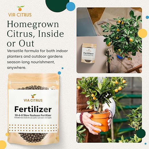 18-6-8 Slow Release Fertilizer for Indoor Plants - Citrus Plant Care, Granules Slow Release Fertilizer for Outdoor Plants, Flowers Plant, Houseplants, Garden Fertilizers by Via Citrus, 2 Pack