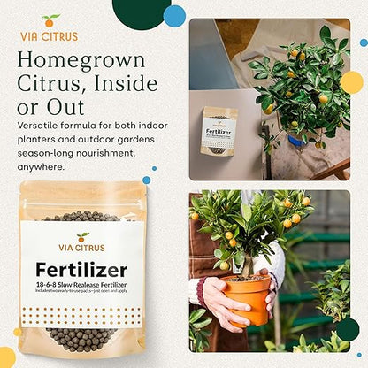 18-6-8 Slow Release Fertilizer for Indoor Plants - Citrus Plant Care, Granules Slow Release Fertilizer for Outdoor Plants, Flowers Plant, Houseplants, Garden Fertilizers by Via Citrus, 2 Pack