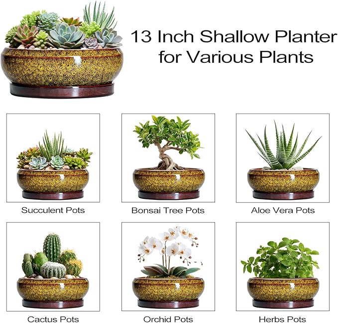Succulent Pots Large - 13 Inch Ceramic Bonsai Pot with Drainage Hole and Tray, Round Succulent Planters, Shallow Plant Pots Indoor, Bowl Planter Outdoor, Garden Decor, Gardening Gift, Yellow