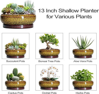 Succulent Pots Large - 13 Inch Ceramic Bonsai Pot with Drainage Hole and Tray, Round Succulent Planters, Shallow Plant Pots Indoor, Bowl Planter Outdoor, Garden Decor, Gardening Gift, Yellow