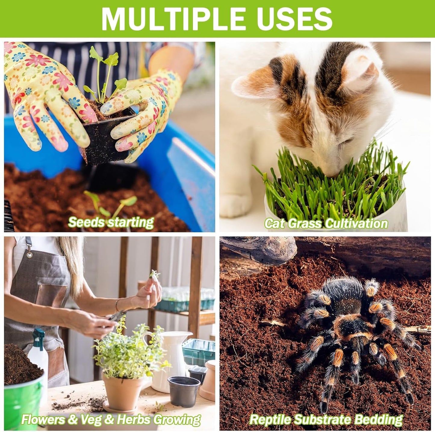 Legigo 100 Pcs 50mm Organic Coco Coir Pellets for Plants - Compressed Coconut Coir Potting Soil, Coco Fiber Pellets for Planting, Garden, Bonsai, Herbs, Flower & Vegetables