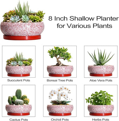 Succulent Pots - 8 Inch Bonsai Pots for Indoor Outdoor, Shallow Ceramic Planter with Drainage Hole and Saucer, Round Flower Succulent Planters, Room Decor, Gifts for Plant Lovers, Red