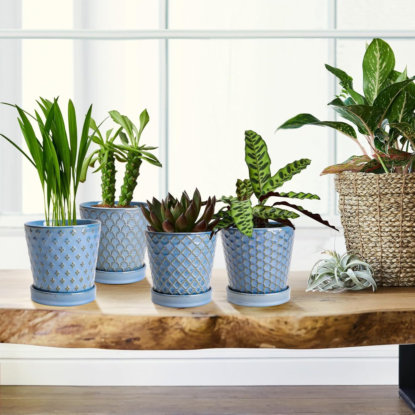 Plant Pots, 5 Inch Pots for Indoor Plants, Planters with Drainage Hole and Saucer, Ceramic Flower Pots Desktop Office Windowsill Decoration Gift Set of 4 - Sky Blue