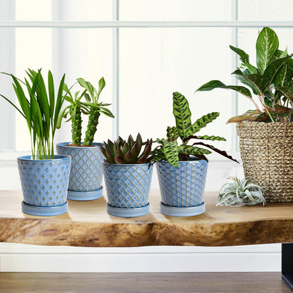Plant Pots, 5 Inch Pots for Indoor Plants, Planters with Drainage Hole and Saucer, Ceramic Flower Pots Desktop Office Windowsill Decoration Gift Set of 4 - Sky Blue