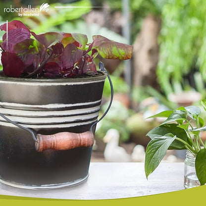 Headwind Vintage Collection - 6 Inch Charcoal Banded Planter with Handles – Galvanized Bucket Planter - Decorative Small Planters for Indoor Plants & Outdoor Use by Robert Allen