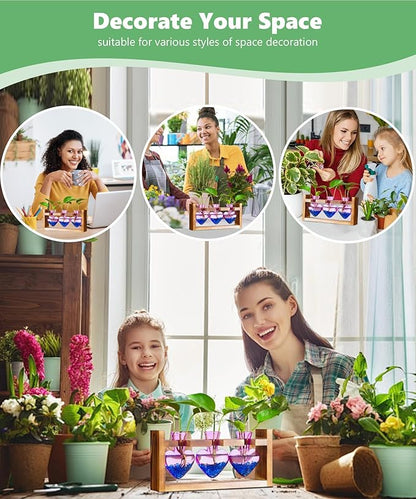 Nacome Plant Terrarium Propagation Stations: Birthday Gifts for Plant Lovers Women Mom Wife - Wooden Stand Tabletop Planter 3 Bulb Glass Vase Heart Shaped for Hydroponics Indoor Home(Purple)