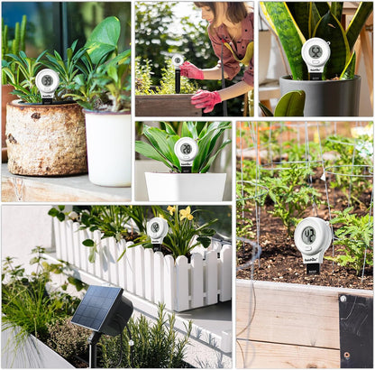 RAINPOINT Digital Compact Soil Moisture Meter for Indoor/Outdoor Plants, Soil Probe Hygrometer Sensor Tester Sets for Garden Lawn Farm, Easy Operation House Pot Plants Moisture Detector- 3 pcs