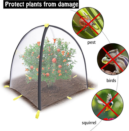 35 x35 x 39 Inch Insect Barrier Plant Tent Cover-Insect Bird Barrier Netting Mesh-Bug Guard Cover with Stakes for Protect Plants Fruits from Insect Bird Eating (1, L)