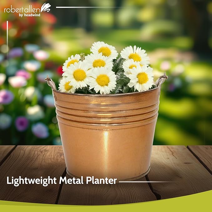 Headwind Vintage Collection - 6 Inch New Penny Banded Planter with Handles – Galvanized Bucket Planter - Decorative Small Planters for Indoor Plants & Outdoor Use by Robert Allen