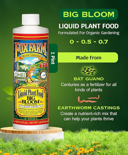FoxFarm - Big Bloom Plant Food, Liquid Fertilizer Concentrate for Flowers, Fruits, and Vegetables, All Purpose Plant Fertilizer for Indoor & Outdoor Potted Plants, NPK 0-0.5-0.7 (Pint)