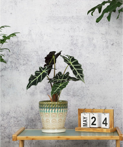 6 Inch + 5 Inch Ceramic Planter with Drainage Hole and Saucer for Plants, Indoor-Outdoor Round Succulent Orchid Garden Flower Pot - Set of 2