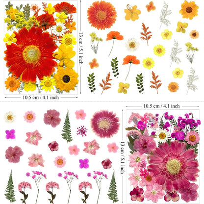 106Pcs Big Dried Pressed Flowers for Resin, Assorted Real Natural Bulk Dry Floral Leaves for DIY Art Crafts, Epoxy Molds, Jewelry, Soap, Candle Making, Nails Decors