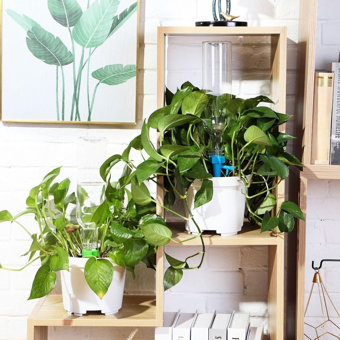 8 Set Plant Watering Devices with Self Watering Spikes and 26 oz Plastic Bottles Plant Waterer Devices with Adjustable Control Valve Switch Indoor Outdoor (Clear)