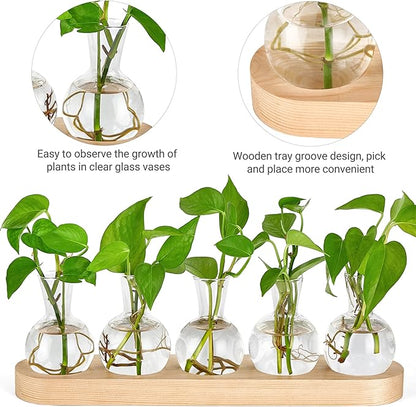 Mkono Desktop Plant Propagation Glass Vase Station Retro Terrarium with Wooden Tray Bulb Flower Container Perfect for Propagating Hydroponic Plants Home Office Decor Lover Gift Idea, Beige (YYBL0035)