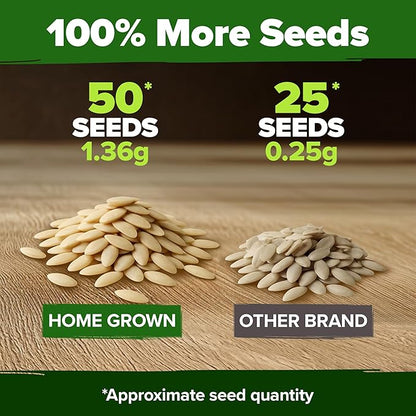 HOME GROWN 𝗨𝗦𝗔 𝗣𝗥𝗘𝗠𝗜𝗨𝗠 Persian Cucumber Seeds – 50+ Heirloom Non-GMO, High-Yielding Beit Alpha Variety | Fast Growing, Sweet Tender Skin, Home Vegetable Garden Seeds (Cucumis sativus)