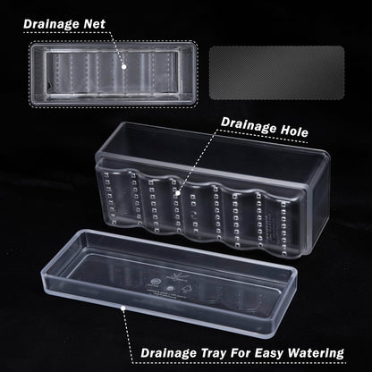 D'vine Dev 12 Inch Window Box Planter, Rectangle Plastic Herb Planter with Drainage Holes and Saucer, Indoor Succulent Cactus Vegetable Pot for Windowsill, Garden Balcony, Clear, Set of 2, 76-X-D-2