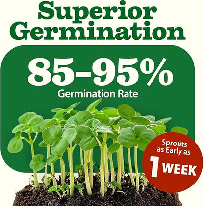 HOME GROWN 70 Variety Vegetable & Herb Seeds – 32,000+ USA Non-GMO Heirloom Survival Seeds –Garden Kit for Spring, Fall, Winter – Indoor & Outdoor Planting – Starter Set for Home Gardeners & Preppers