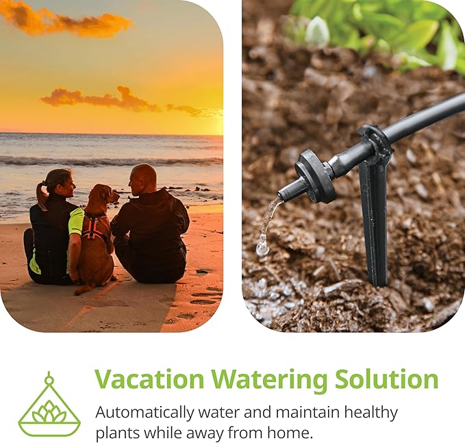 Raindrip R560DP Automatic Drip Irrigation Watering Kit with Timer for Containers and Hanging Baskets, Waters up to 20 Plants, Includes Timer with Customizable Settings and 20 PC Drippers Black