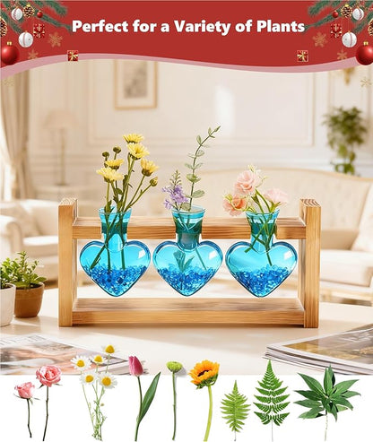 Nacome Plant Terrarium Propagation Stations: Birthday Gifts for Plant Lovers Women Mom Wife - Wooden Stand Tabletop Planter 3 Bulb Glass Vase Heart Shaped for Hydroponics Indoor Home