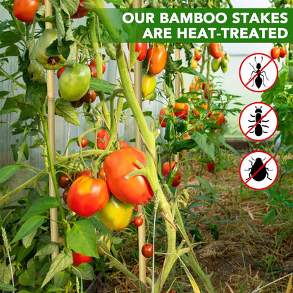 70 Pcs Bamboo Stakes, 4 Feet Natural Bamboo Garden Stakes for Plant, Garden Bamboo Plant Sticks for Plants Support, Tomato, Beans, Vegetable, Trees and Climbing Plants