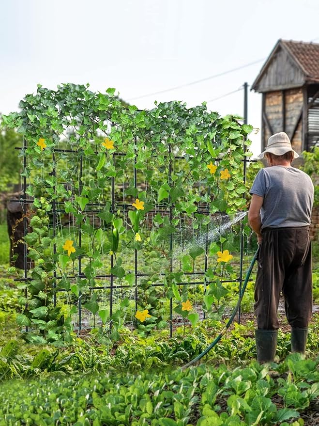 6×6 Feet Garden Trellis for Climbing Plant, Kalolary Large Garden Cucumber Trellis U-Frame Vegetable Beans Fruit Grow Trellises Rustproof Metal Plant Climbing Support for Indoor Outdoor Vine Stand