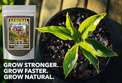 Fertilizer Commercial Grade | General Purpose 12-6-8 | 3 Pounds | Custom Professional Mix Blend | Shrub, Tree & Ornamental | Fast Release 60 Day Feed, Macronutrient & Micronutrient Formula for Plants
