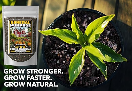 Fertilizer Commercial Grade | General Purpose 12-6-8 | 5 Ounces | Custom Professional Mix Blend | Shrub, Tree & Ornamental | Fast Release 60 Day Feed, Macronutrient & Micronutrient Formula for Plants