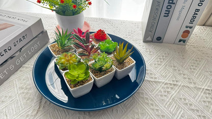 Plant Saucers 12 Inch (12.7 Inch) Plant Trays, Durable Round Glazed Ceramic Flower Plant Water Drip Tray for Pots Planter