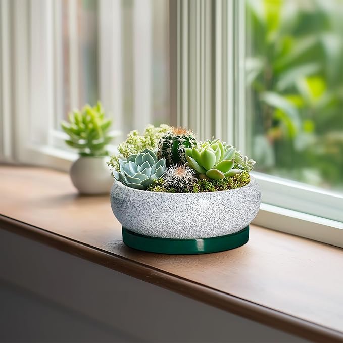 Succulent Pots - 6 Inch Ceramic Pots for Succulent Indoor Outdoor, Small Plant Pot with Drainage Hole and Saucer, Bonsai Pot, Modern Round Planter, Window Decor, Housewarming Gifts, Green