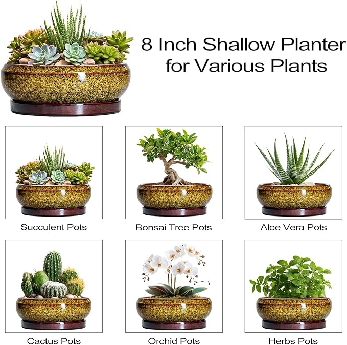 Succulent Planters 8 Inch - Ceramic Bonsai Pots with Drainage Hole and Tray, Shallow Plant Pot Indoor Outdoor, Round Succulent Pots, Planter Bowl, Porch Decor, Housewarming Gifts, Yellow