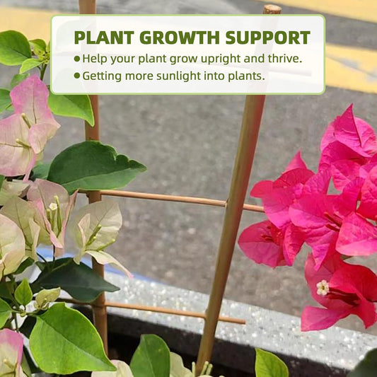 Avalution 20 Pack Bamboo Trellis for Climbing Plants Indoor, 16 Inch Garden Ladder Trellis for Potted Plants, Fan-Shaped Small Plant Support Trellis for Houseplants Ivy Hoya Vine Monstera