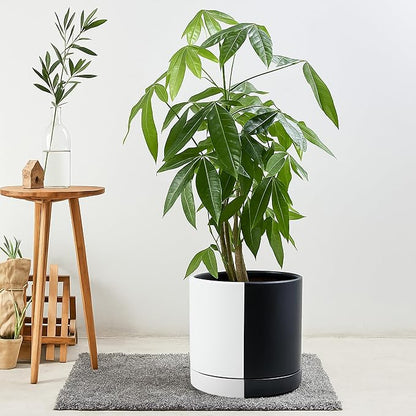 D'vine Dev 10 Inch Ceramic Planter Pot with Drainage Hole and Saucer, Indoor Cylinder Round Planter Pot, Split Monochrome Black & White, 94-O-E-0