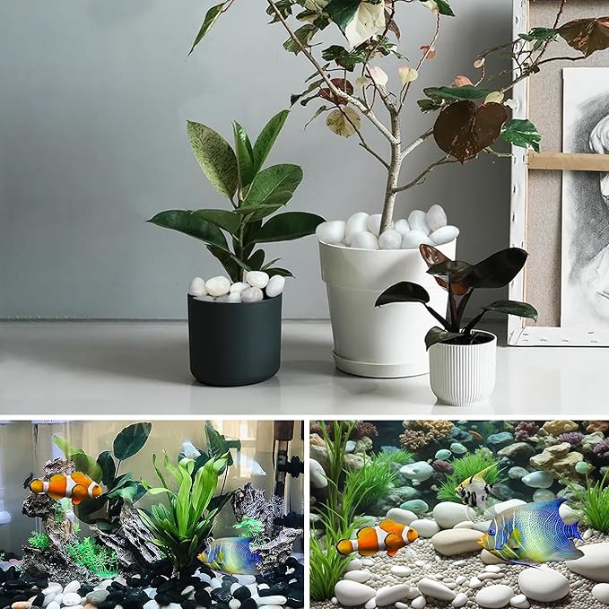 20lbs Large River Rocks, White Pebbles for Plants 2-3 Inch, High Polished Natural Decorative Stones for Aquarium Vase Filler Fish Tank Landscaping Garden