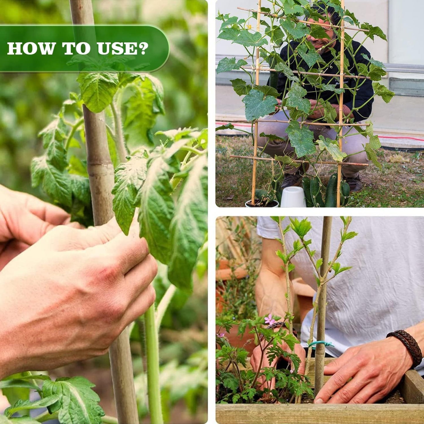 25pcs 7/20" D Thicker Heavy Duty Bamboo Stakes, 3FT Plant Stakes, Natural Garden Stakes for Tomato, Bean, Flowers,Trees Potted and Climbing Plant Support